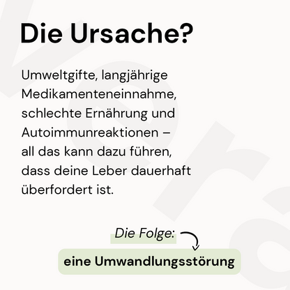 VERA® - Der Resetter - Leber Komplex